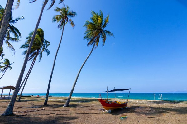 Quelle croisière propose des ateliers de dégustation de chocolat en Belgique?