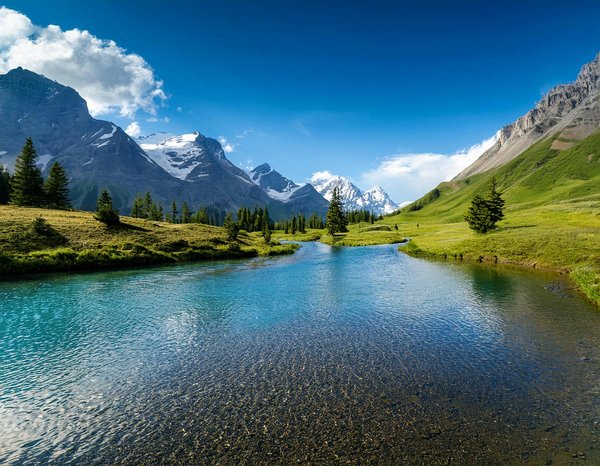 Où participer à une retraite de méditation en pleine forêt en Suède?