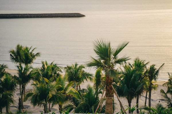 Quels équipements de sécurité sont nécessaires pour un camping en région de faune sauvage dangereuse?